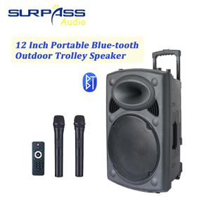 Głośniki przenośne wzmacniacze wózek Bluetooth Big Power HiFi dźwięk do ładowania akumulatora głośnik karaoke z dwoma bezprzewodowymi mikrofonami.