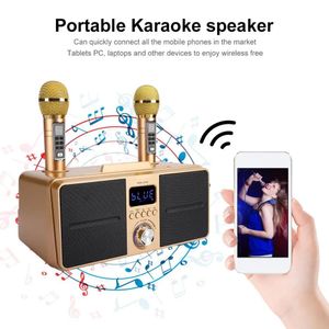 Microphones SD309 Duales kabelloses Mikrofon Bluetooth-Lautsprecher Mobiler kabelloser Karaoke-Lautsprecher Wireless Stereo Schwarz 30W SDRD-Lautsprecherset