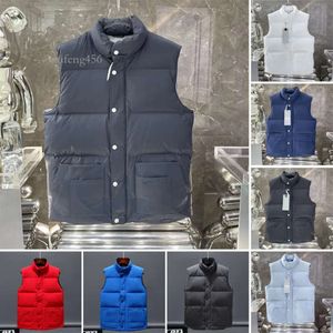 디자이너 다운 CG Gilet의 CG Bodywarmer 겨울 따뜻한 캐나다 인과 인과 몸 따뜻한 조끼 ruff 남성 조끼 웨이스트 코트 웨이스트 코트 외부 겨울 길렛 유니스퇴석