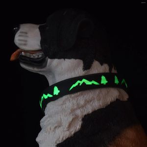 Dog Collars LED Glowing Rechargeable Pet Luminous Collar Adjustable Night Light Safety Necklaces