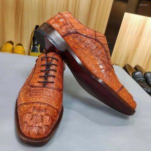 Elbise ayakkabıları tianxin varış erkekler timsah resmi kahverengi kahverengi leathersneaker