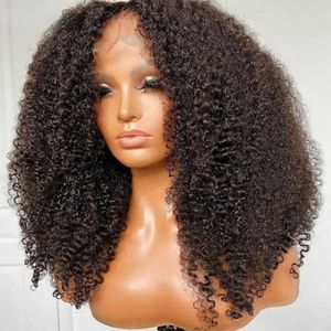 Mongolische verworrene lockige Perücke Echthaar 13x4 lockige Lace-Front-Perücken HD transparente Spitze Afro lockige synthetische Spitzeperücke für Frauen 180 Dichte