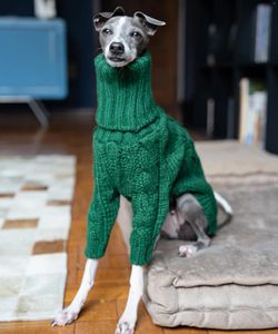 Hundkläder Vintertröja italiensk Greyhound Whippet Turtleneck Twist Warm Coat Clothing Dog's Sticked