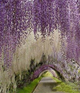 Romantyczne sztuczne kwiaty symulacja wisteria winorośli dekoracje ślubne długie krótkie jedwabne rośliny bukiet pokój biuro ogrodowy A7365151