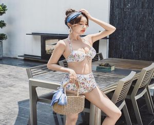 Tankinis Push Up Vintage Sweet 3 Pieces Set Covered Belly Show Thin Spring Sexy Women Small Bust Swimsuit1655107