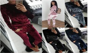 Agasalho de veludo conjunto de duas peças feminino sexy rosa manga longa topo e calças bodysuit terno pista moda 2017 trainingspak plus size 3282256