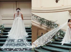 Vackra eleganta bröllopslöjor Applicies Lace 1 Tier med kam för Girls Cathedral Luxury Long Chapel Längd5468694