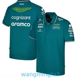 2024 Novo Modelo Camisetas Masculinas Designer F1 Terno Camiseta Aston Martin Alonso Racing Team Mesmo 3D Impresso Camisa Polo de Manga Curta