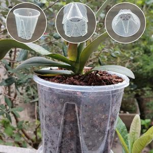 10 STÜCK Transparenter, dichter, atmungsaktiver DIY-Pflanzenbehälter aus Kunststoff mit großer Kapazität, Blumenständer, Orchideenpflanze 240118