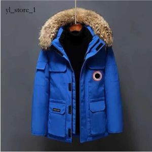 Kış aşağı ceket kadınlar küstah kapüşonlu kalın wyndham ceket erkek çıkış ceketleri, beyler için ceketler soğuk koruma rüzgar geçirmez kanada kaz ceketleri 7650