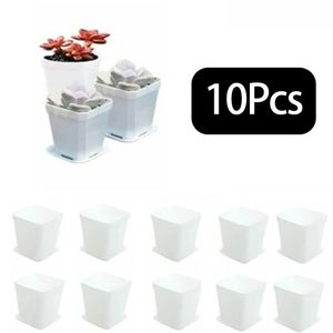 10PC 10 pieces 5 colors Avilable thick flowerpot plant flowerpot tray plastic jar creative small square flowerpot for juicy plants 240118