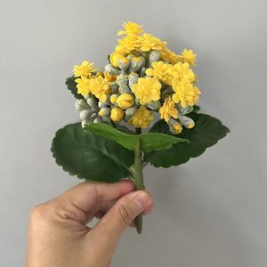 Fleurs décoratives, plante artificielle au toucher réel, fausses plantes succulentes, Jonquil, bricolage, décoration de Table de jardin et de bureau pour la maison