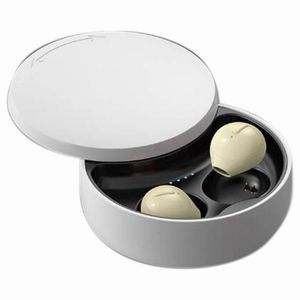 Headphone/Headset Mini X21S Bluetooth 5.0 Wireless Earbuds with Wireless Charging Case Invisible Mini Bluetooth Earphones