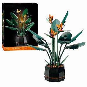 الكتل MOC باقة Bird of Paradise Block Flower Orchid Potted Building Builds Fit for 10289 Romantic Kit Assembly Bricks Toy Girl Giftl240118