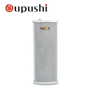 Głośniki 20 W 30W 40W Aktywna kolumna Bluetooth Wodoodporny głośnik ściany PA System HiFi Jakość dźwięku dla miejsc na zewnątrz odtwarzanie karty USB/TF