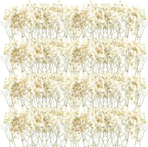 50pcs Mini Dried Baby Breath Flower Gypsophila Ivory Natural Flowers for Vase Wedding Home Office Party Garden Card Making Decor 240117