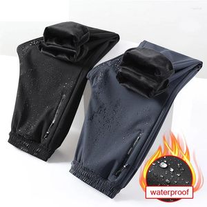 Pantaloni da uomo invernali in lana d'agnello caldi pantaloni sportivi da jogging fitness casual pantaloni maschili con coulisse solidi pantaloni dritti in pile M-8XL