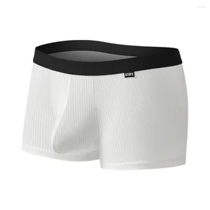 Underpants Clothes Men Elephant Nose Low Rise Panties Porn Pouch Ribbed Striped Sheath Solid Color Trunk Underwear