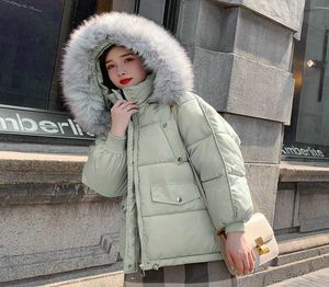 Büyük kürk yakalı kapşonlu kış kadınlar kısa parkalar katı sıcak pamuklu pamuklu ceket bayanlar için kalın gevşek fermuarlı pamuk yastıklı ceket x6522520