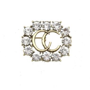 20 stylów Pins Broothes Desinger Geometry Brooch Women Crystal Rhinestone Ruit Pin moda biżuteria akcesoria dekoracji