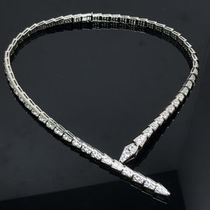 Versione alta della collana piena di diamanti con osso di serpente per gli amanti della personalità della moda. Articolo autunnale, leggero, di lusso, di minoranza. Senso del design