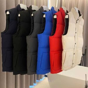 Gilet da uomo Gilet Puffer Giacca da uomo da donna Marchio di lusso Piumino d'anatra Imbottitura migliore versione Antivento Impermeabile Febric Pezzi all'ingrosso fuori 8QG8