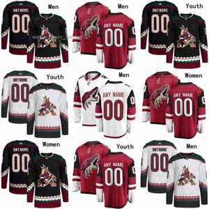 Arizona Hokey Coyotes Formaları 3 Josh Brown 61 Dysin Mayo 90 J.J. Moser 2 Patrik Nemeth 51 Troy Stecher 25 Conor Timmins 4 Juuso Valimaki 39 4187 4812