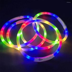 Collari per cani Collare luminoso Cucciolo in silicone Lampeggiante Ricarica USB Taglia multicolore Tagliabile per cani di taglia piccola, media e grande