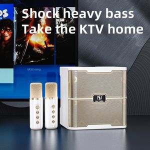 Högtalare Family KTV Audio Set Dual Microphone Karaoke Machine Portable Wireless Bluetooth Speaker System Integrated Singing Machine