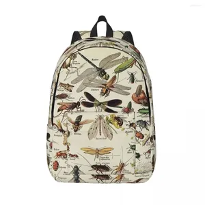 Rucksack, Insektendiagramm, wissenschaftlich, lustig, für Männer, Frauen, Studenten, Schule, Büchertaschen, Segeltuch, Tagesrucksack, Grundschule, weiterführende Schule, Sport