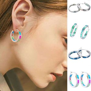 2024 Stud Ohrringe Naturstein Runde Tigerauge Rosa Quarz Kristall Opal Silber Farbe Einfache Ohr Schmuck Für Frauen Mädchen ohrring Geschenk