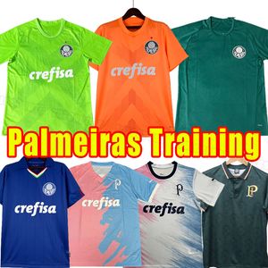 Футбольные майки Palmeiras 2023 2024, футбольные рубашки G.MENINO GIOVANI R.VEIGA, майка 23 24 S-2XL, рубашки для взрослых, тренировочные костюмы DUDU RONY G.GOMEZ