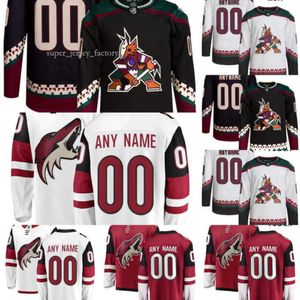 Arizona Hockey Coyotes Jerseys 63 Matias Celli 12 Nick Ritchie 36 Christian Fischer 44 Zack Kassian 9 Clayton Keller 6 Jakob Chychrun 14 7661 8395