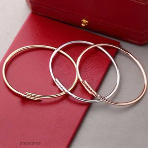 Yeni lüks tasarımcı bilezik 3mm ince tırnak moda unisex cuff çift bileklik altın titanyum çelik mücevher sevgililer günü hediye dfna dfna
