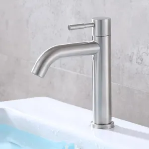 Bathroom Sink Faucets Stainless Steel Basin Cold Water Flick Tap Single Lever Faucet For Kitchen QLY1119