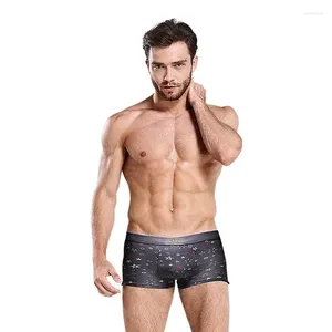 Mutande Taglia Stampa Uomo Traspirante Uomo Morbido Star Plus Cotone Pantaloncini sexy Boxer Intimo boxer