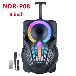 Altoparlanti Tirante portatile da 8 pollici Altoparlante Bluetooth per danza quadrata all'aperto Microfono Wireless Karaoke Scatola di risonanza con luci lampeggianti circolari