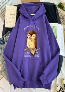 Söt uggla i039m inte sova im bara vila mina ögon spårdräkter manliga varma män hoodies harajuku tröjor lösa pullover man 8743441