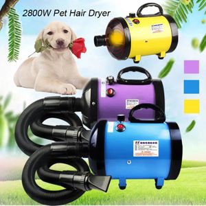 Suprimentos 2800w cão aliciamento secador de cabelo para animais de estimação cão gato aliciamento ventilador vento quente ajustável