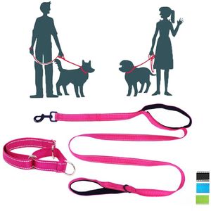 Apparel Pet Dog Martingale Collar Leash Suit. No Pull Training Daily Walk. Double Handles Premium Quality Lead. Size Medium to XLarge