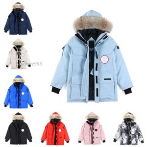 Homens para baixo puffer casacos de inverno parkas clássico ao ar livre frio e quente grosso com casaco qualidade durável streetwear gola de pele jaquetas jaqueta d88