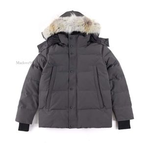 Inverno soprador masculino parkas pele com capuz blusão outwear casacos fourrure manteau para baixo casaco