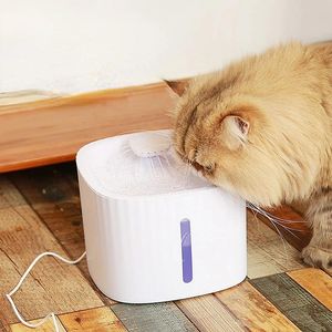 Alimentatori 1 pz Cat Water 3L Fontana automatica con luci a LED Dispenser di acqua per cani Filtro trasparente Bevitore Pet USB Plug Alimentatore per bere