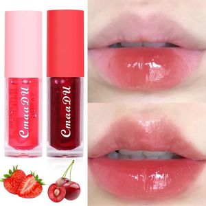 Fruit Lip Gloss Temperature Color Changing Mirror Lip Oil Plumping Moisturizing Reducing Lips Line Waterproof Lip Balm Cosmetic 414