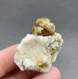 Przewoźnicy kotów! 32G Naturalny rzadki idokraza (wezuwianit) Próbka mineralna Kamienie i kryształy rozmiar 3,4 cm