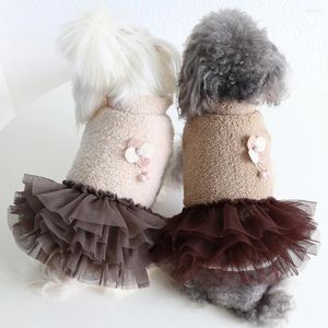 Hundkläder Vinter varma klädkatt stickad tröja klänning Turtleneck kjol prinsessor klänningar för små medelstora hundar husdjurskostymer