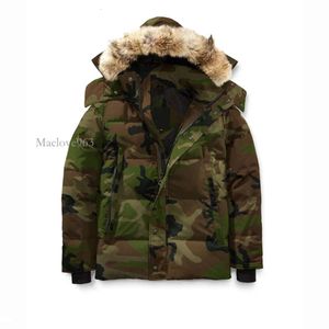 Casacos Preto Para Baixo Jaqueta de Alta Qualidade Homens Jaquetas Mens Designers Canadenses Parkas Ao Ar Livre Inverno Jassen Outerwear Grande Pele Manteau Hiver Parka Doudoune D88