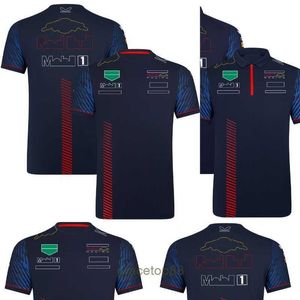 Men's and Women's New T-shirts Formula One F1 Polo Clothing Top Team Racing Driver Motorsport Season Fans Tops Jersey Plus Size Wn57