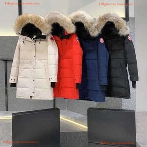 Designer canadense ganso versão de comprimento médio jaqueta puffer para baixo parkas inverno grosso casacos quentes das mulheres à prova vento streetwear d88