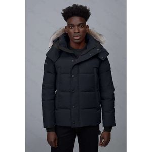 Casacos para baixo jaquetas dos homens designers canadenses parkas inverno ao ar livre jassen outerwear grande pele manteau hiver parka doudoune d88